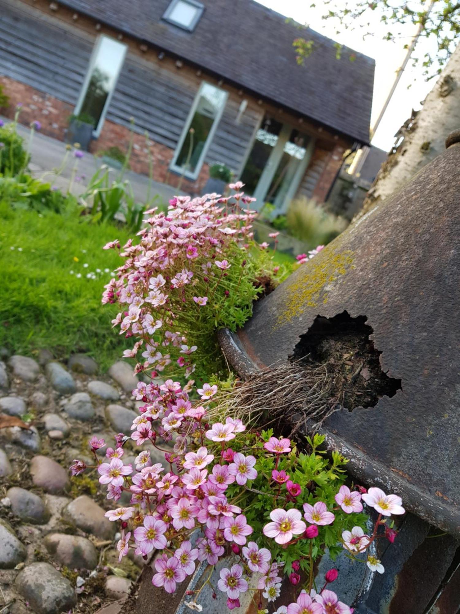 The Dorm Bed And Breakfast Eccleshall Zewnętrze zdjęcie